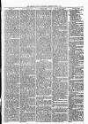 Tenbury Wells Advertiser Tuesday 05 August 1879 Page 5