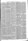 Tenbury Wells Advertiser Tuesday 03 August 1880 Page 3