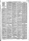 Tenbury Wells Advertiser Tuesday 12 February 1884 Page 7