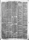 Tenbury Wells Advertiser Tuesday 25 June 1889 Page 3