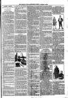 Tenbury Wells Advertiser Tuesday 02 January 1894 Page 3