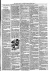 Tenbury Wells Advertiser Tuesday 09 January 1894 Page 3