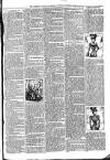 Tenbury Wells Advertiser Tuesday 02 January 1900 Page 3
