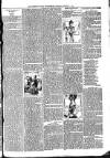 Tenbury Wells Advertiser Tuesday 09 January 1900 Page 3