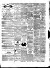 Isle of Wight Times Thursday 17 January 1878 Page 3