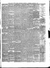 Isle of Wight Times Thursday 17 January 1878 Page 5