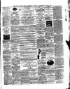 Isle of Wight Times Thursday 18 April 1878 Page 3