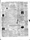 Isle of Wight Times Thursday 20 June 1878 Page 3