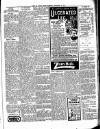 Isle of Wight Times Thursday 13 November 1913 Page 5