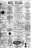 Leamington, Warwick, Kenilworth & District Daily Circular Wednesday 03 July 1901 Page 1