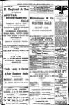 Leamington, Warwick, Kenilworth & District Daily Circular Saturday 04 January 1902 Page 3