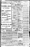 Leamington, Warwick, Kenilworth & District Daily Circular Wednesday 19 January 1910 Page 3