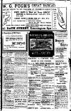 Leamington, Warwick, Kenilworth & District Daily Circular Friday 18 February 1910 Page 3