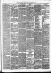Leominster News and North West Herefordshire & Radnorshire Advertiser Friday 10 October 1884 Page 3