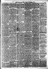 Leominster News and North West Herefordshire & Radnorshire Advertiser Friday 26 December 1884 Page 3