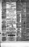 Leominster News and North West Herefordshire & Radnorshire Advertiser Friday 03 July 1885 Page 2