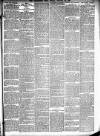 Leominster News and North West Herefordshire & Radnorshire Advertiser Friday 24 January 1896 Page 7