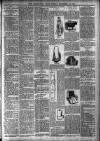 Leominster News and North West Herefordshire & Radnorshire Advertiser Friday 19 December 1902 Page 7