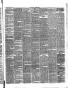 Reading Observer Saturday 02 August 1873 Page 3
