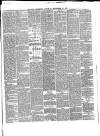 Reading Observer Saturday 20 September 1873 Page 3