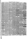 Reading Observer Saturday 20 March 1875 Page 3