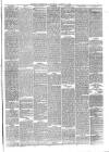 Reading Observer Saturday 07 August 1875 Page 3