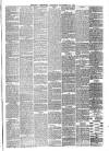 Reading Observer Saturday 20 November 1875 Page 3