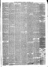 Reading Observer Saturday 25 December 1875 Page 3