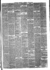 Reading Observer Saturday 20 May 1876 Page 3
