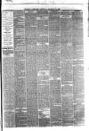 Reading Observer Saturday 20 January 1877 Page 3