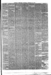 Reading Observer Saturday 24 February 1877 Page 3