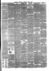 Reading Observer Saturday 02 June 1877 Page 3