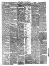 Reading Observer Saturday 01 May 1880 Page 3