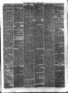 Reading Observer Saturday 30 October 1880 Page 3