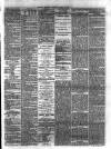 Reading Observer Saturday 12 March 1881 Page 5