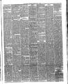 Reading Observer Saturday 07 May 1887 Page 3