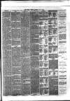 Reading Observer Saturday 18 May 1889 Page 3