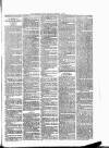 Bromyard News Thursday 17 January 1889 Page 7
