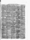 Bromyard News Thursday 28 March 1889 Page 3