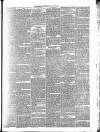Surrey Gazette Tuesday 22 January 1867 Page 5