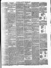 Surrey Gazette Tuesday 17 September 1867 Page 5