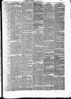 Surrey Gazette Tuesday 03 December 1867 Page 7