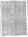 Surrey Gazette Tuesday 06 June 1871 Page 3