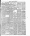 Surrey Gazette Tuesday 18 June 1872 Page 5