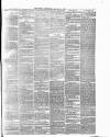 Surrey Gazette Tuesday 19 January 1875 Page 7