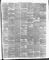 Surrey Gazette Saturday 06 February 1875 Page 3