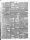 Surrey Gazette Tuesday 29 June 1875 Page 7