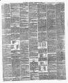 Surrey Gazette Saturday 25 September 1875 Page 3