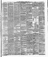 Surrey Gazette Saturday 06 November 1875 Page 3