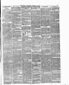 Surrey Gazette Tuesday 07 December 1875 Page 3